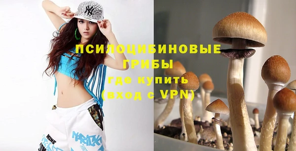 дурь Волоколамск