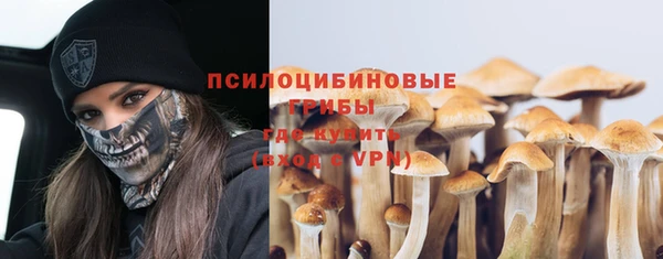 прущая мука Верхний Тагил