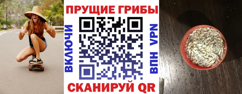 Псилоцибиновые грибы мицелий  Купить закладки  Катайск 